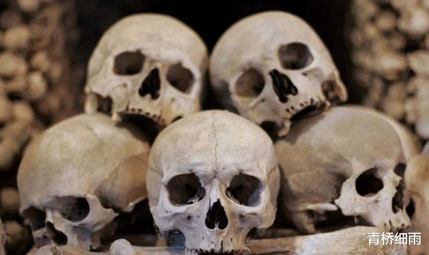 美国实现了死而复生技术,人可以实现永生了?这是在犯罪