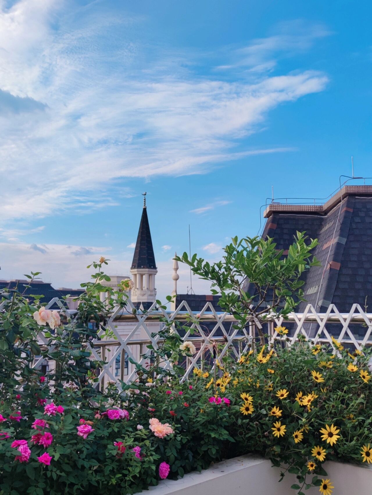 买了33楼顶楼跃层,赠送15㎡露台,自己打造成空中小花园,太美了