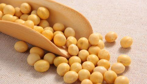 医生|三高人群的福利发放了