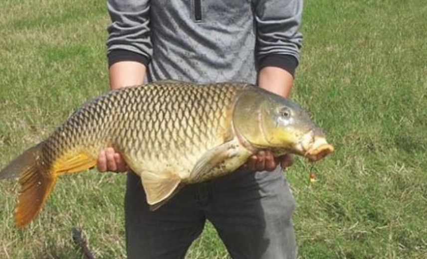 |钓鱼人的烦恼,经常跑鱼,这样调漂适合各自野钓!