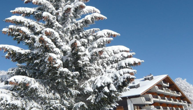 美丽|作为全球比较美丽的景色,如仙境般的地方,能让我们喜欢上