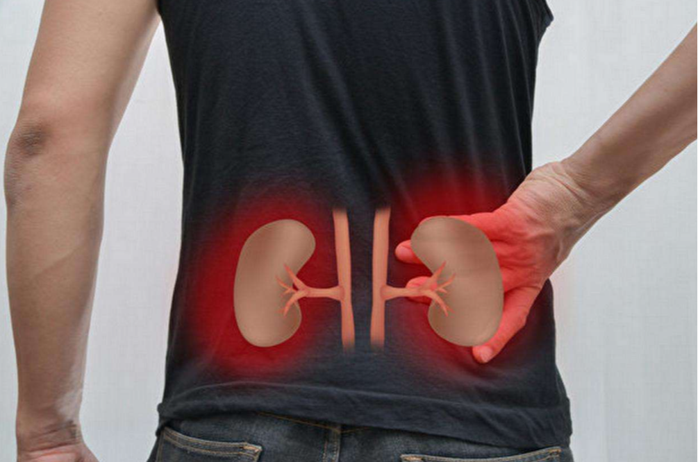 肾虚|肾虚冬天怎么补？有8种食物很合适