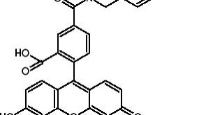 5-羧基荧光素四嗪|5-FAM tetrazine|CAS NO: 1402432-77-2