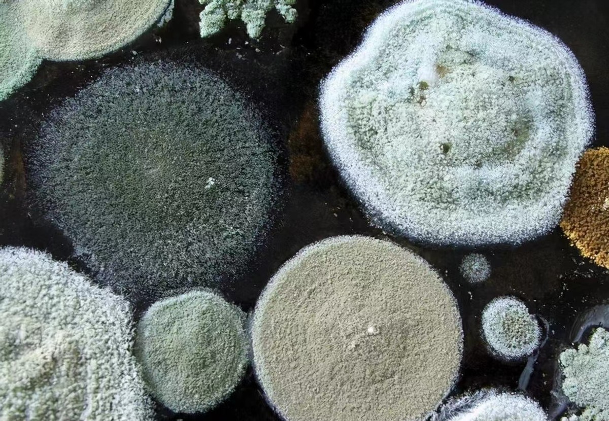 家里这些东西，看似干净实际却很“脏”，不懂得建议看看