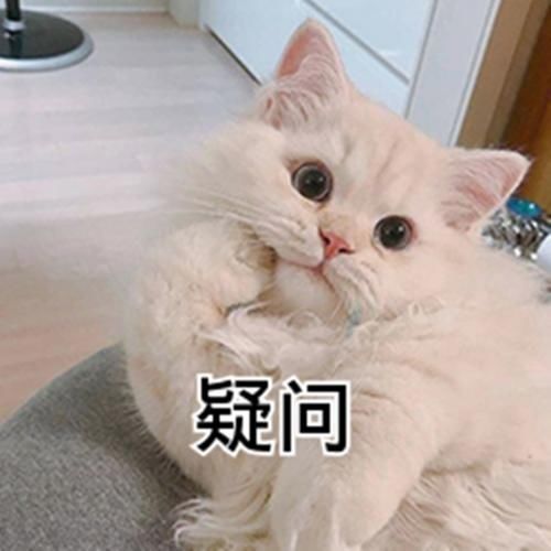 取卵后,医生却告诉我“没卵用”?