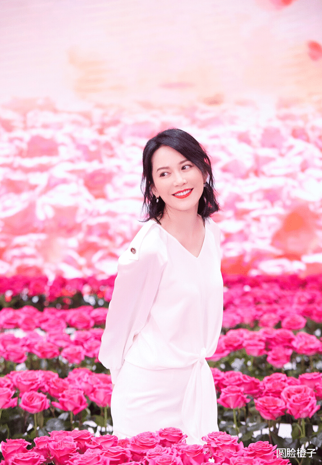 刘涛|年纪越大越漂亮的女星,我只服这6位,年轻时一般,快40岁才变美