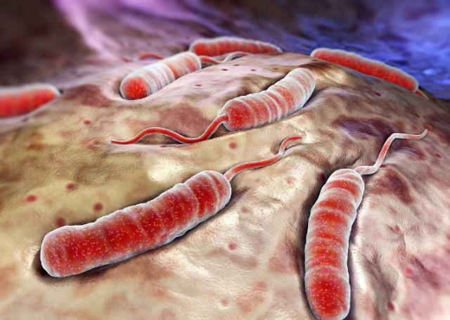 幽门螺杆菌|换个方法吃蜂蜜,或许能助你尽早消灭“幽门螺杆菌”,赶跑老胃病