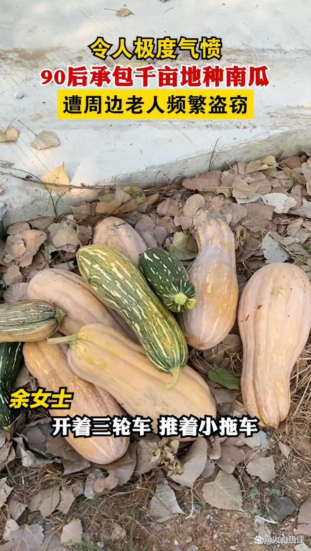 武汉女子被老人偷南瓜后续：老人偷瓜不成恼羞成怒，将南瓜砍烂