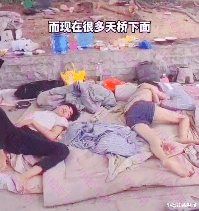 广东：小时工单价9元，一帮小伙组团睡桥洞，反正现在离过年还早