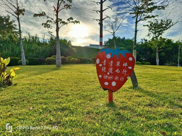 一加科技|这三台手机的曼妙手感,在你指尖上任意流淌