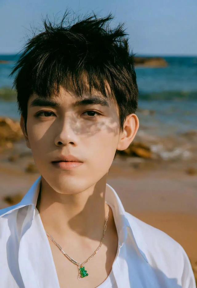 王鹤棣|说说今年四个咖位上升较为明显的男艺人