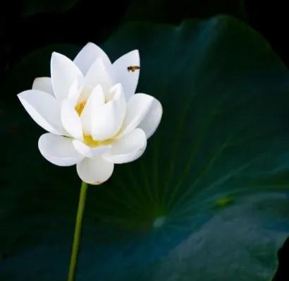 婆婆偏心小叔子一家又带孩子又买房,怒怼婆婆时我得知了背后真相