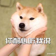 周冬雨|寡淡脸一遇港风就惊艳？周冬雨霸总，毛晓彤惊艳，鞠婧祎改头换面