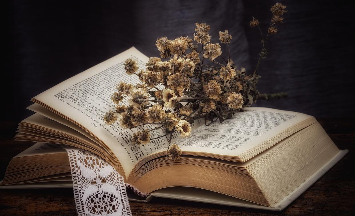 立足|职场中，越聪明的人，越会管住自己的嘴