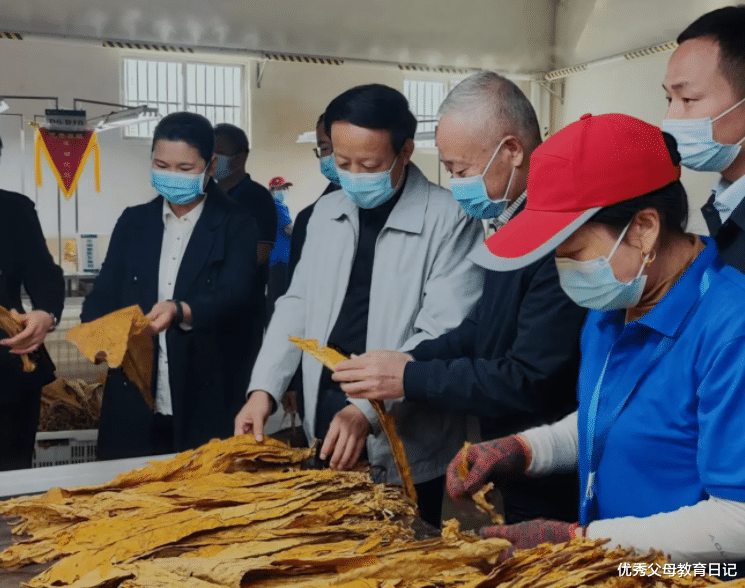 大学生|为啥就算没“暗箱”，三无大学生也难进“烟草局”？过来人这样说