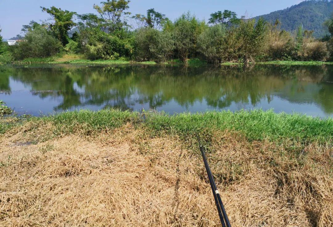 |冬天钓鱼是“人找鱼”,这不是传统钓的“专利”,台钓一样可行!