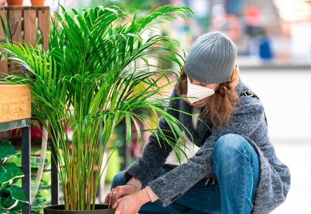 客厅想养大型花,首推这6种,高档有格调,养上一两盆家里超干净