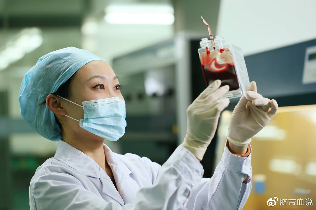 治疗白血病,骨髓移植、脐带血造血干细胞移植,哪种更高效?