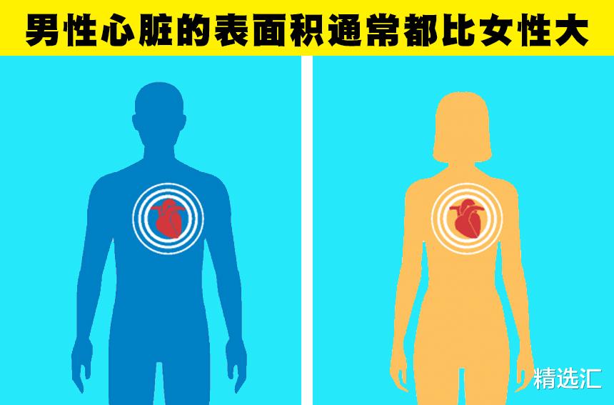 心脏|男性也可以产奶?你可能从未听说过的7件男性身体的有趣事实