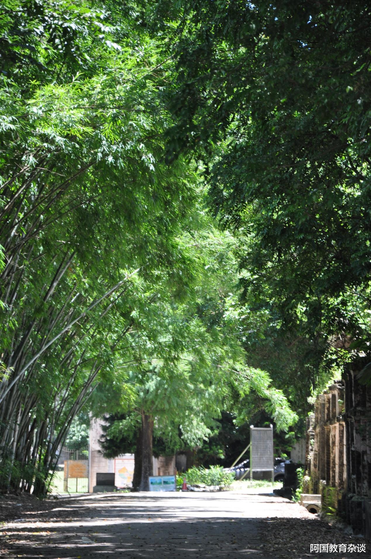 美丽|暑期看碉楼、看海其实不用钱——推荐条小众自驾线路