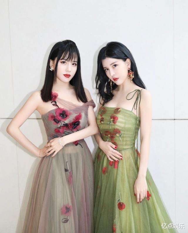 李宇春|娱乐圈6对亲姐妹:为名为利为了红?唯独她们是例外