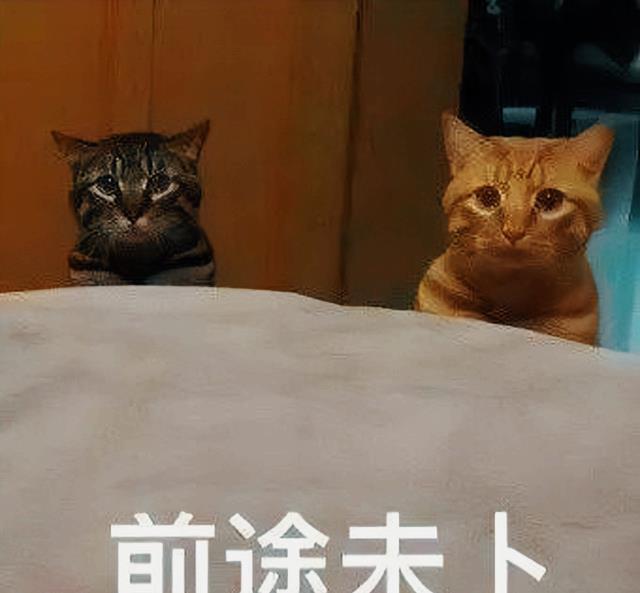 求职|985硕士办公室摔键盘“就算再找不到工作，也别去亲戚公司上班”