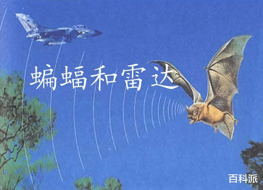 “万毒之源”蝙蝠,携带4100多种病毒,为何人类不彻底灭绝它?