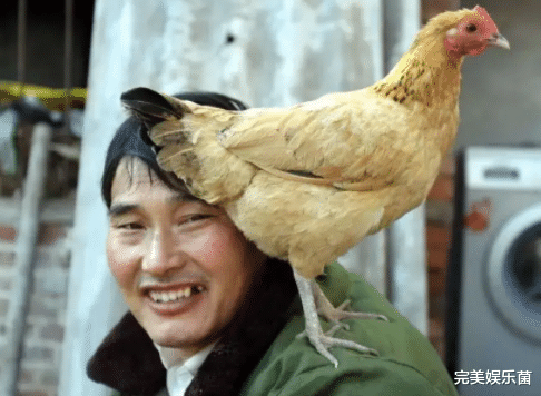 大衣哥欲将女儿嫁给张二保,引同村人愤怒惨遭毒打,网友:眼红了