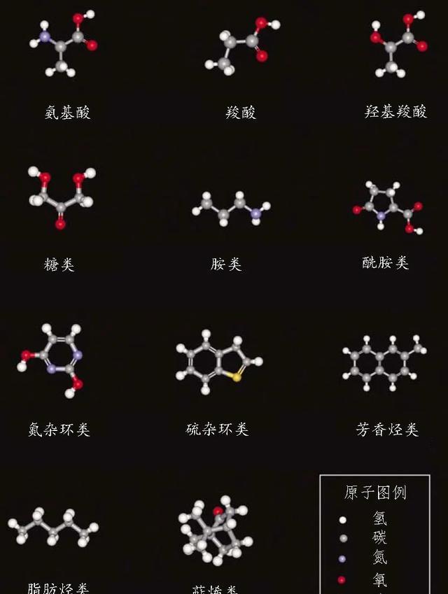 地球上的水来自小行星?最新的研究成果,颠覆了我们以往的认知