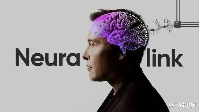 微软|马斯克把脑子上传到云端是一个彻头彻尾的商业和科技谎言