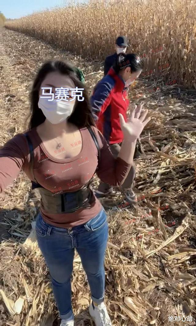 河南:女大学生回村掰玉米,看着父母劳作,她在边上跳舞拍视频