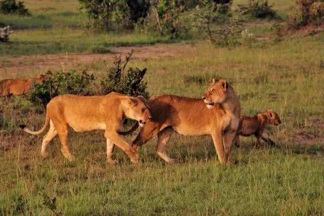 海岛|非洲比马代奢华的顶级海岛,还有家漂浮在海上的梦幻酒店必打卡!