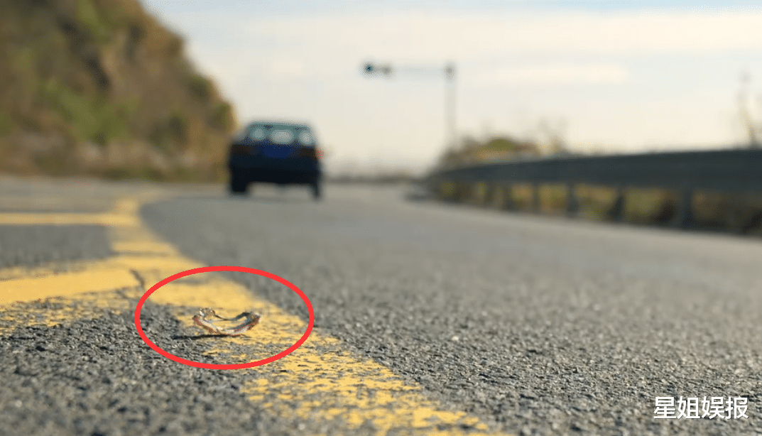 野蛮生长|《风吹半夏》首播收视平平!赵丽颖脸型圆润外号胖子,官配是李光洁