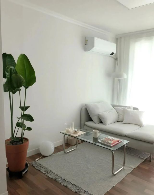 一人独居63平小户型,客厅不需要电视柜,卧室只留床垫!真好看