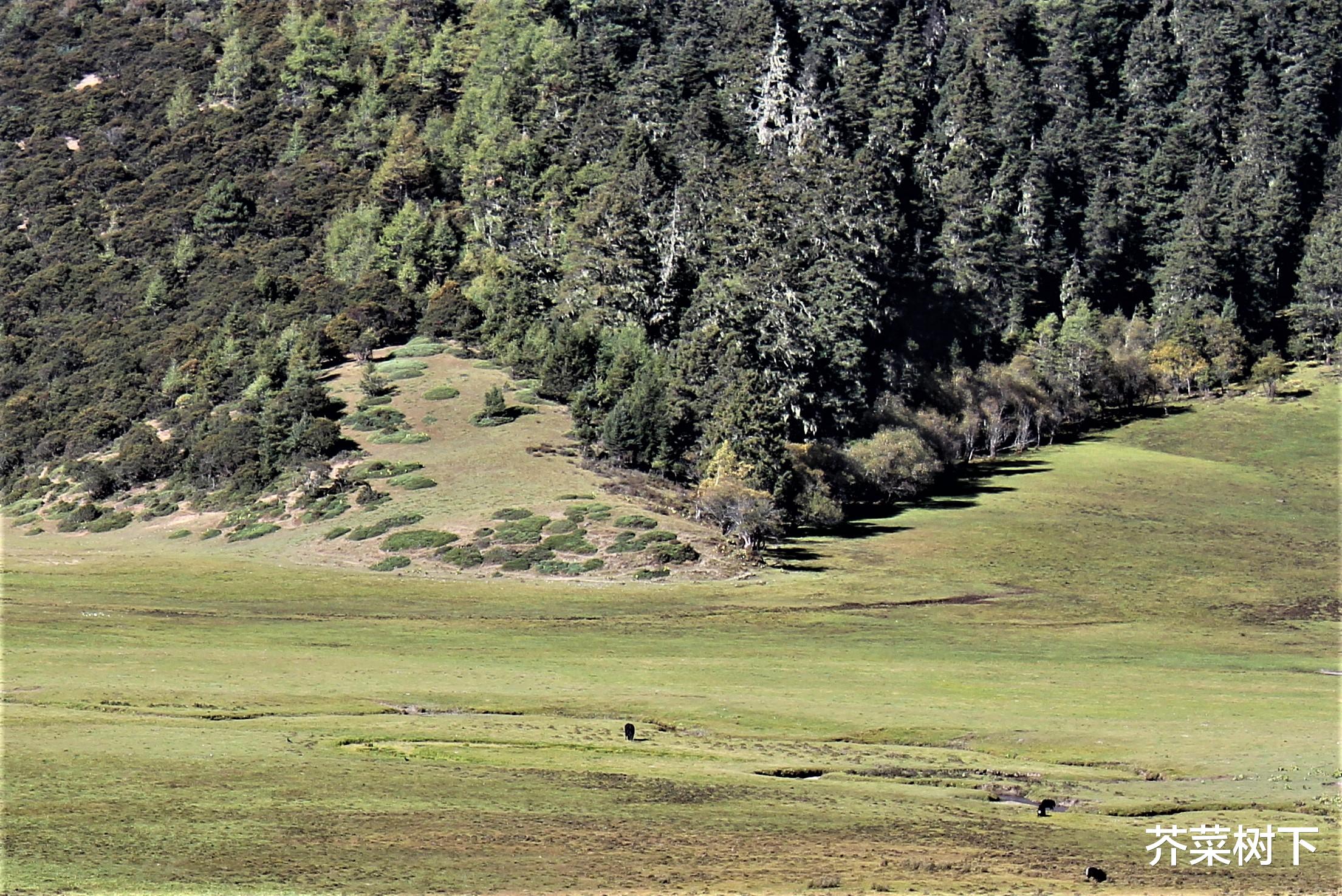 广安|职场人的利益,自己主动捍卫