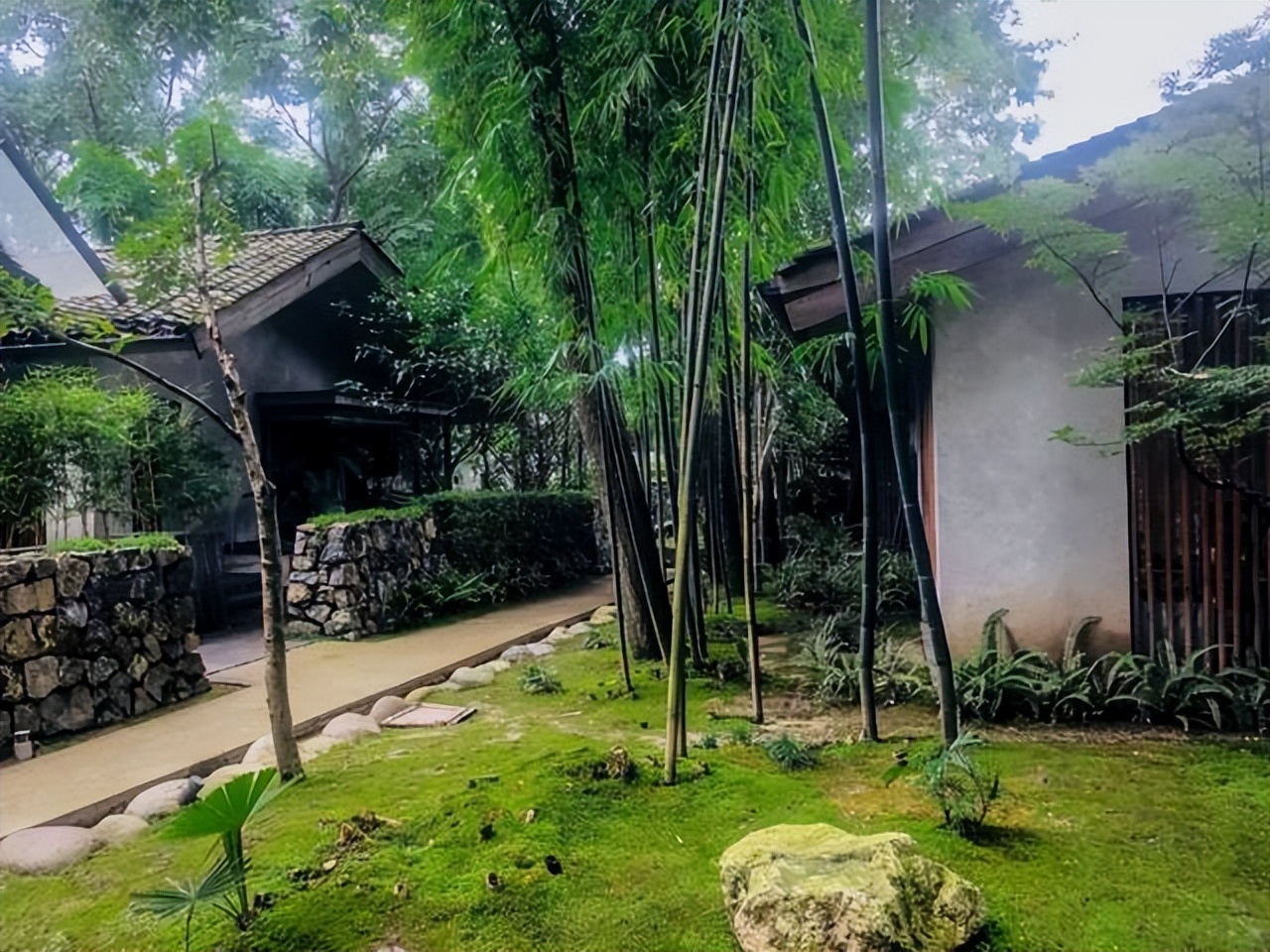 |守一间小院,闲坐摇扇听荷声,盛夏微凉于此间