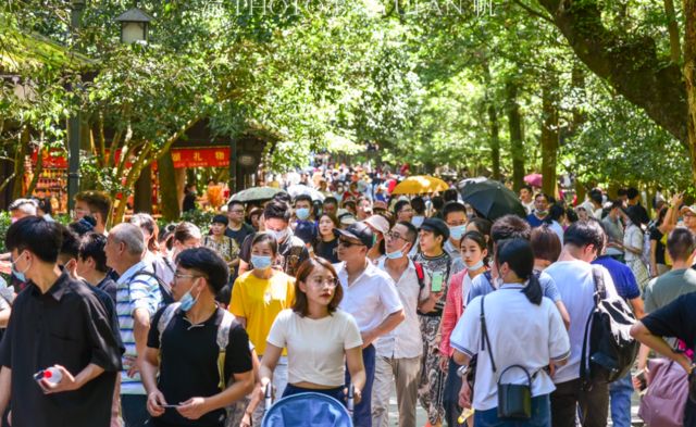阿荣旗|反向旅游兴起 年轻人的口味都变成什么样了？
