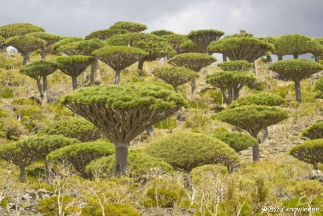 地外生命的标志!科学家:如果找到它,就能证明生命的存在