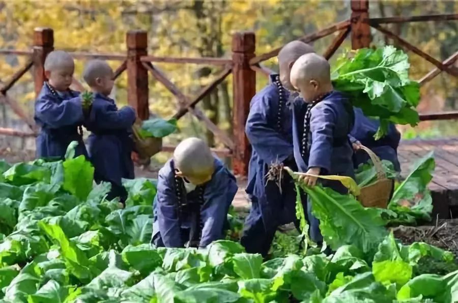 贵州|秒杀腾冲，还藏着现实版乌龙院，贵州这个小村落终于要火了