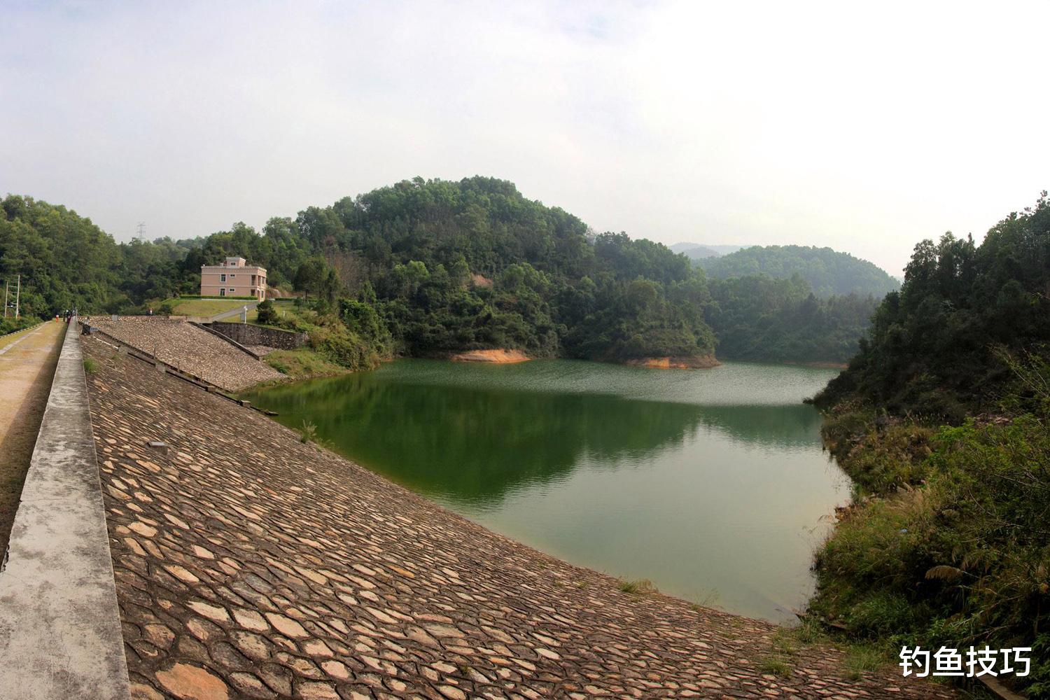 |野钓的4种黄金钓位，附近可能全都是鱼