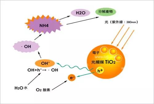 拜托了！这3个不靠谱的除醛方法可别再用了