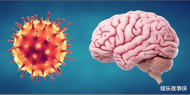 nature论文:尸检证明几乎身体所有部位都存在 COVID-19 病毒,存在时长达八个月