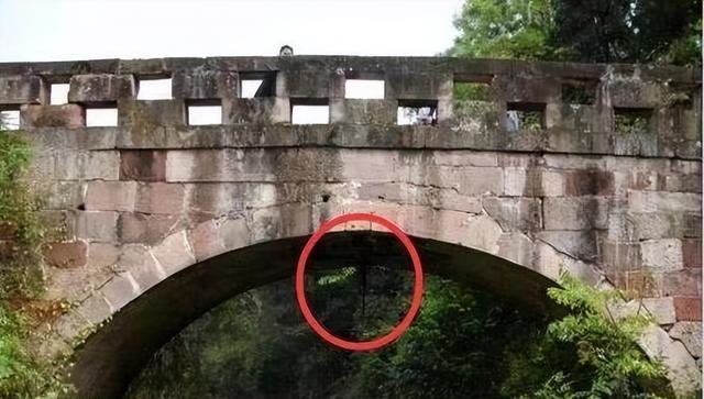 蛇到底能活多久,500年大蛇真能化蛟吗?“长江走蛟”是咋回事?