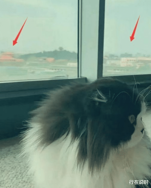 王艳|王艳儿子罕见露面, 15岁球球长相帅气, 直言家里妈妈地位很高