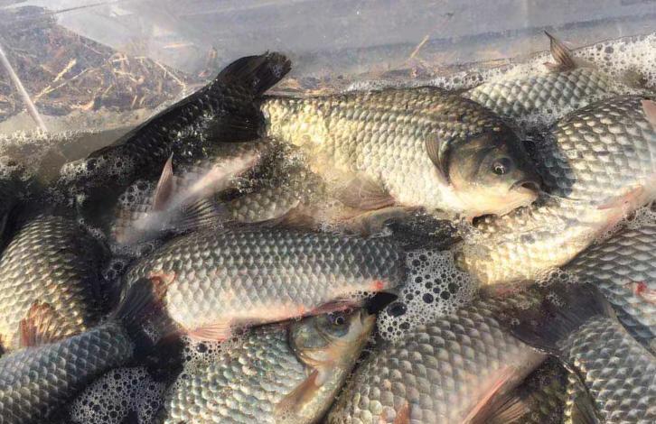 潜规则|玩黑坑不可不知的5个“潜规则”，悄悄告诉你，少交点学费