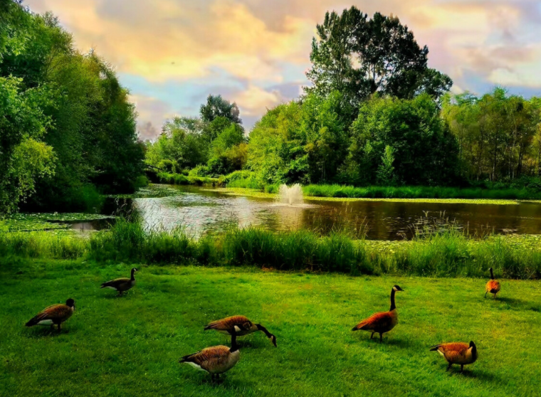|MBTI职业性格测试|职场的技能满满干货,赶紧收藏