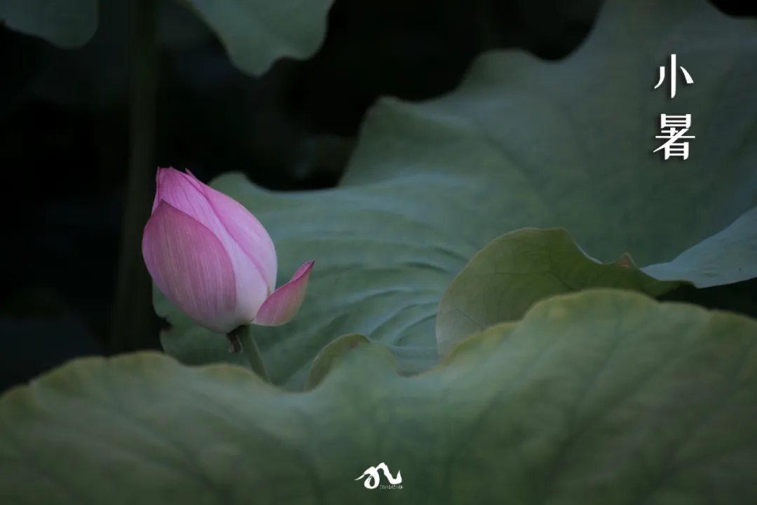 收藏!九华山版二十四节气壁纸,够浪漫~