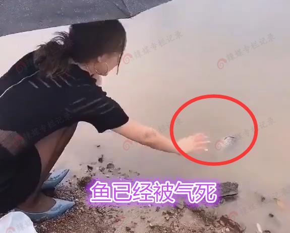 女网红菜市场买鲫鱼放生,打造善良人设,网友:遮不住伪善真面目