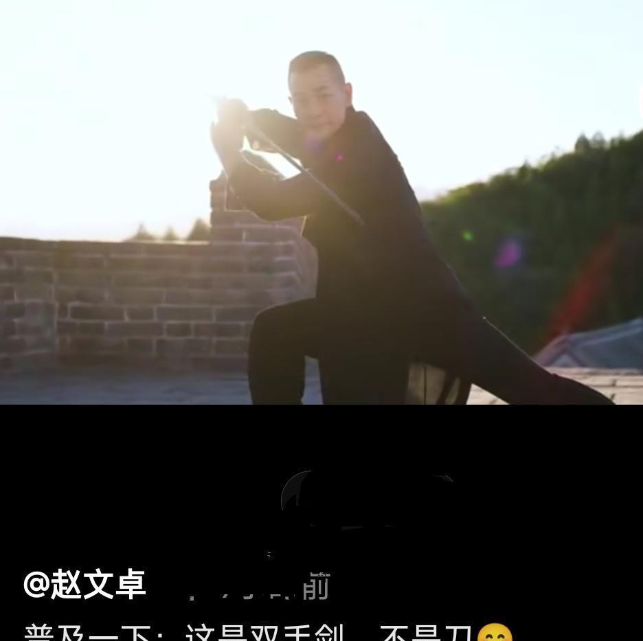 赵文卓|赵文卓双手剑走红,甄子丹被喊话道歉,张国荣的点评有些道理