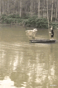 输入法|手机九键输入法,先发一个“别”,一直按,就知道你最抗拒什么了